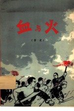 血与火 家史