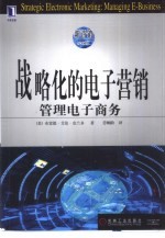 战略化的电子营销 管理电子商务