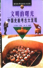 文明的曙光 中国史前考古大发现