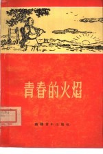 青春的火焰