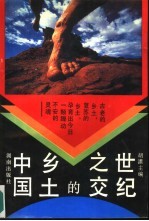 世纪之交的乡土中国