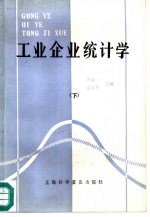 工业企业统计学 下