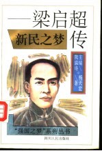 新民之梦 梁启超传