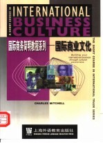 国际商业文化 英文