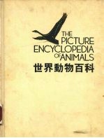 世界动物百科 鸟 1