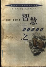 智慧之恋 哲学启示录