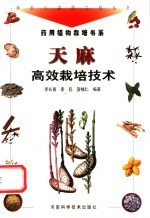 天麻高效栽培技术