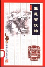 龙凤宝钗缘 下 第2版