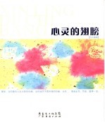 心灵的翅膀 月儿随笔