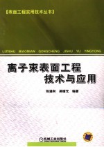 离子束表面工程技术与应用