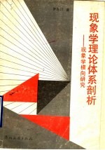现象学理论体系剖析 现象学横向研究
