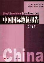 中国国际地位报告 2013