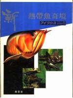 新热带鱼奇境 1 尊贵鱼