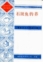 石斑鱼钓养