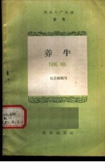 养牛
