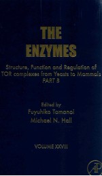 the enzymes