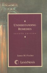 UNDERSTANDING REMEDIES SECOND EDITION