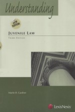 UNDERSTANDING JUVENILE LAW THIRD EDITION