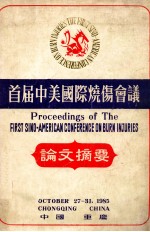 PROCEEDINGS OF THE FIRST SINO-AMERICAN CONFERENCE ON BURN INJURIES