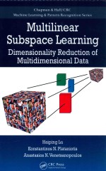 chapman & hall/crc machine learning & pattern recognition series multilinear subspace learning dime
