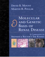 MOLECULAR AND GENETIC BASIS OF RENAL DISEASE A COMPANION TO BRENNER & RECTOR'S THE KIDNEY