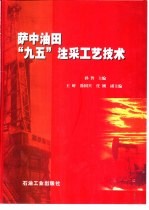 萨中油田“九五”注采工艺技术
