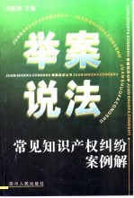 常见知识产权纠纷案例解
