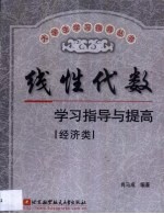 线性代数学习指导与提高 经济类