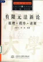 有限元法新论 原理·程序·进展