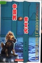 中国的井文化