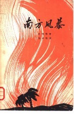 南方风暴