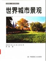世界城市景观