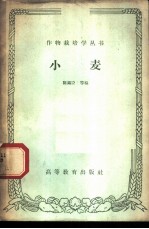 小麦