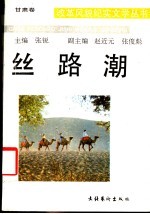 丝路潮