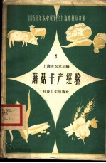 蘑菇丰产经验