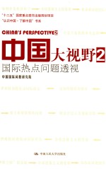 中国大视野 国际热点问题透视 2