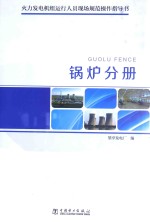 火力发电机组运行人员现场规范操作指导书  锅炉分册