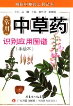 常用中草药识别应用图谱 手绘本