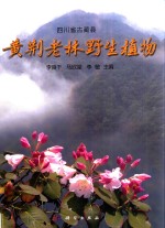 四川省古蔺县黄荆老林植物