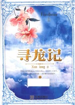 寻龙记 上