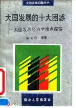 大国发展的十大困惑 大国发展经济学难点探索