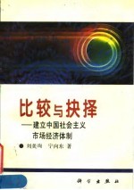 比较与抉择 建立中国社会主义市场经济体制