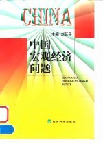 中国宏观经济问题