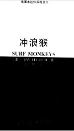 冲浪猴