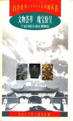 文物荟萃 瑰宝纷呈 宁夏回族自治区博物馆