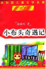 小布头奇遇记