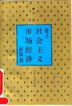 建立社会主义市场经济新体制