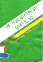 经济发展战略的国际比较