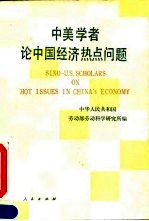 中美学者论中国经济热点问题