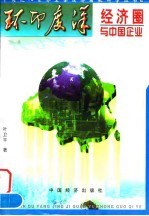 环印度洋经济圈与中国企业